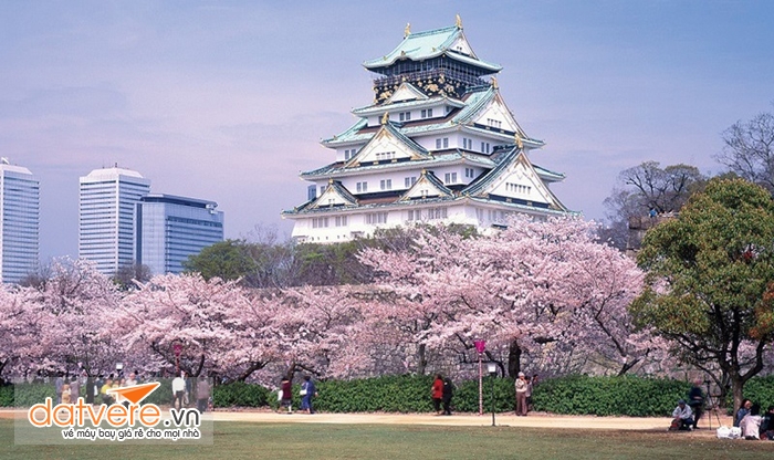 Chiêm ngưỡng vẻ đẹp của lâu đài Osaka