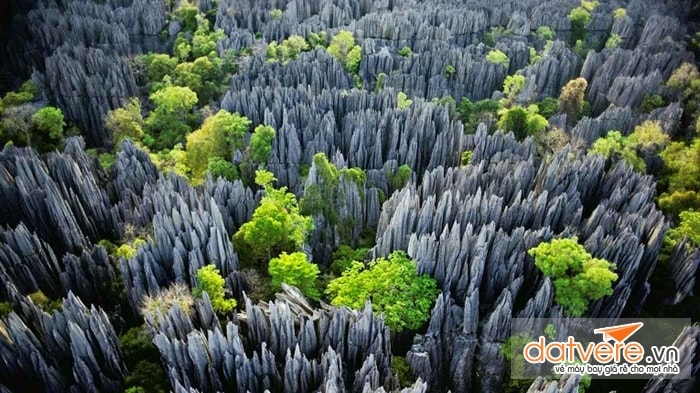 Forest Tsingy, Madagascar