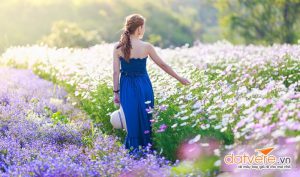 Đà Lạt mỗi mùa có nét đẹp riêng