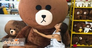 Cửa hàng gấu Brown