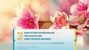 Dịch vụ vận chuyển đào, mai đón Tết 2020 từ các hãng hàng không Việt