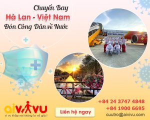 Vé máy bay từ Hà Lan về Việt Nam