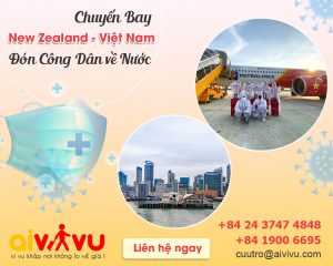 Vé máy bay từ New Zealand về Việt Nam