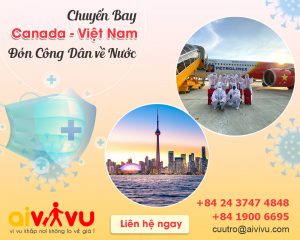 Vé máy bay từ Canada về Việt Nam, lịch chuyến bay mới nhất