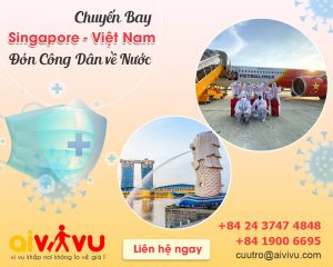 Vé máy bay từ Singapore về Việt Nam