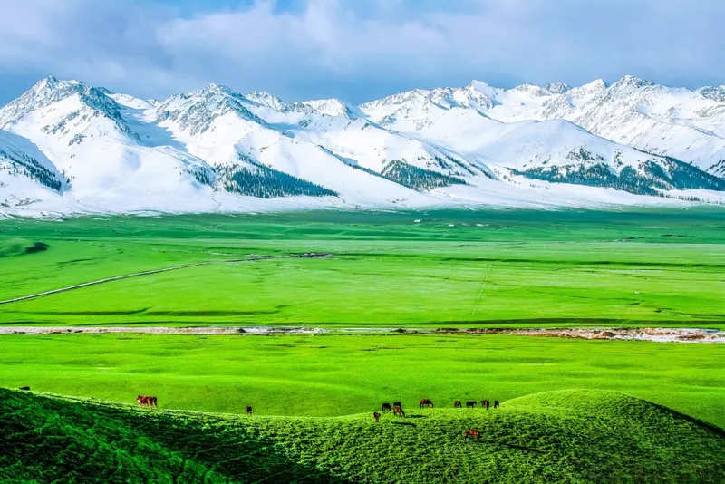 Mua vé máy bay Hồ Chí Minh đi Urumqi Tân Cương tháng nào rẻ nhất