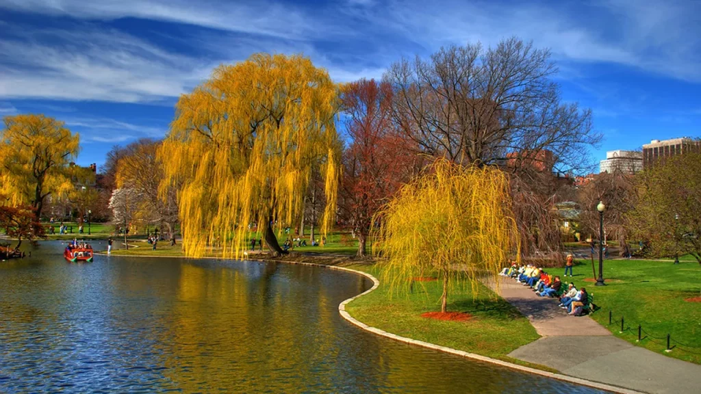 Chiêm ngưỡng sắc thu tại Công viên Boston Common