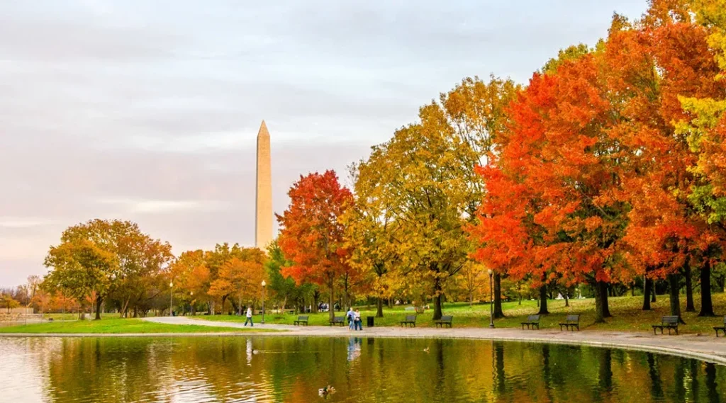 Ngắm lá vàng tại National Mall